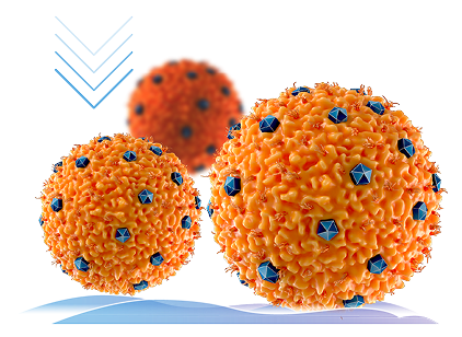 Xiidra inhibits t-cell migration to the ocular surface graphic.